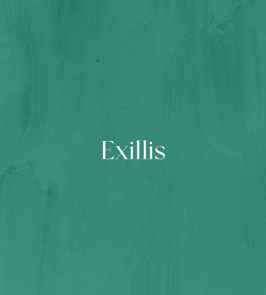 EXILIS – modelovanie a spevnenie postavy, pokožky